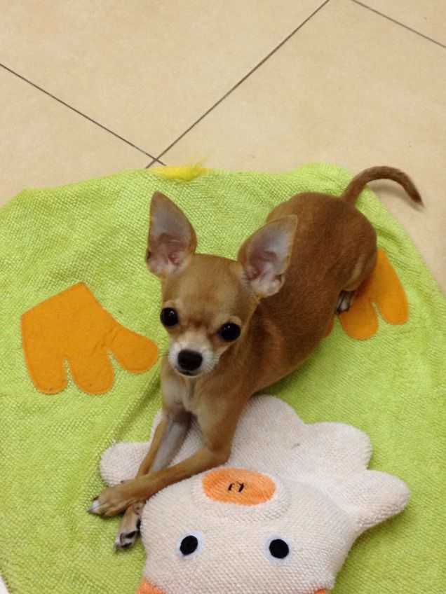 sul tappeto della doccia!