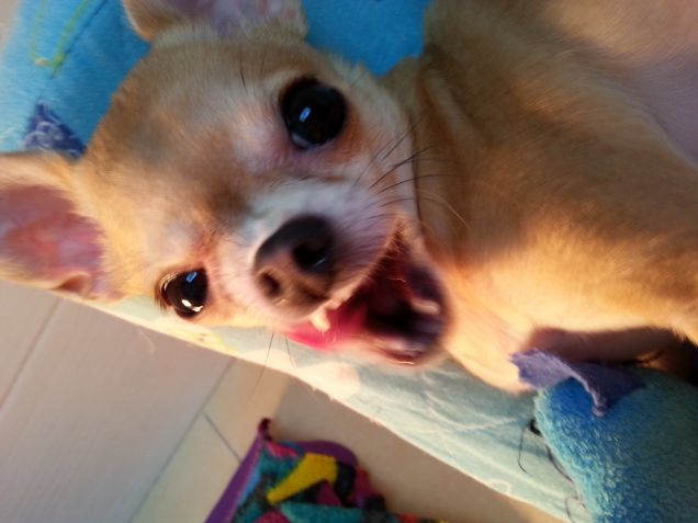 sorrisetto malvagio!!