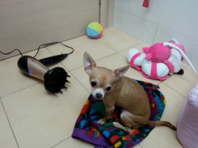 il momento del relax