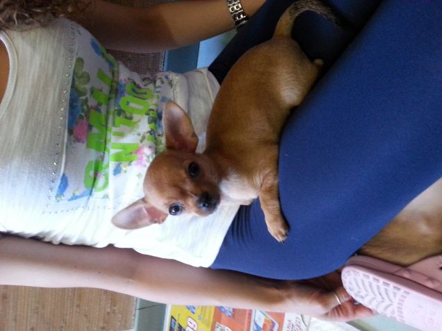 con la sua padroncina!