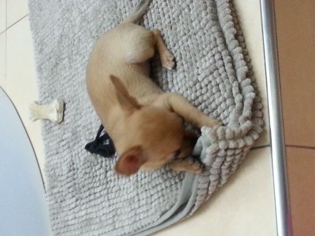 sul tappeto della doccia!