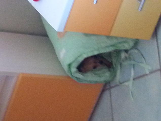 giocare e ancora giocare!!