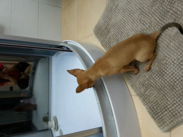 il momento della doccia!