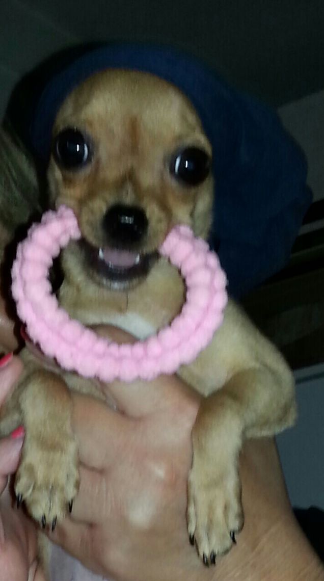 la più bella di tutte!!