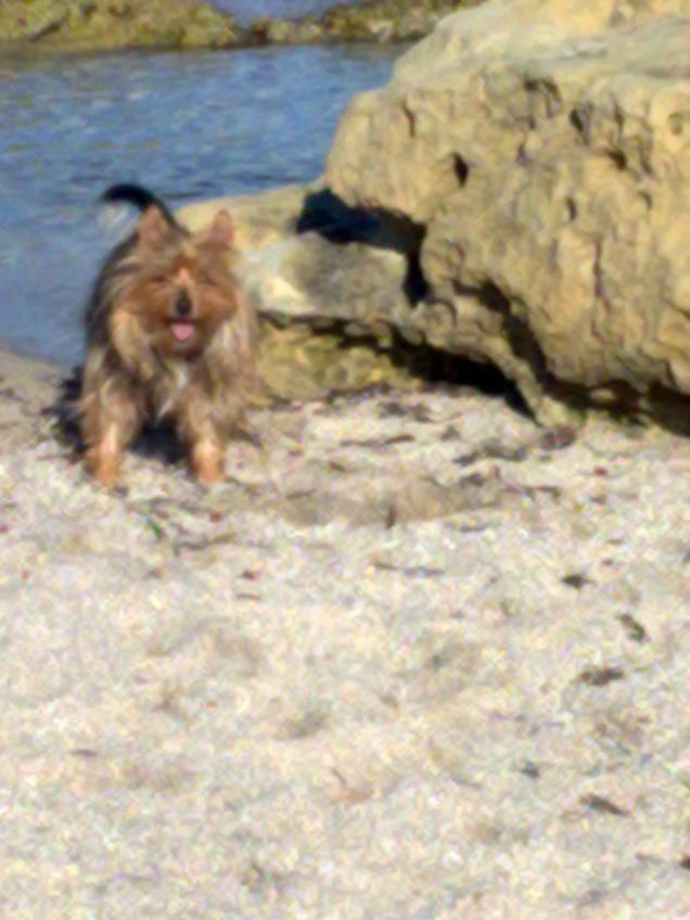 Lilly in spiaggia