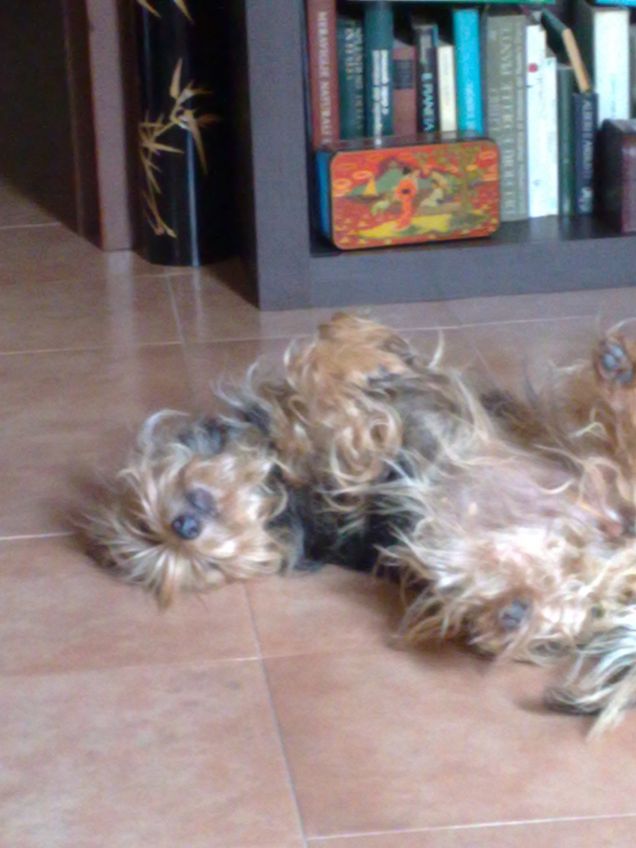 La mia Lilly fa la nanna