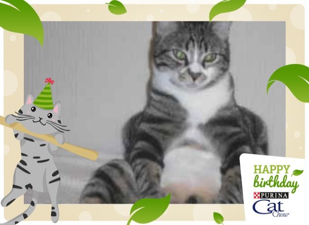 …ci rilassiamo sul divano