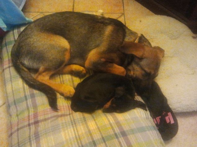 Le due quasi sorelle!!!!!