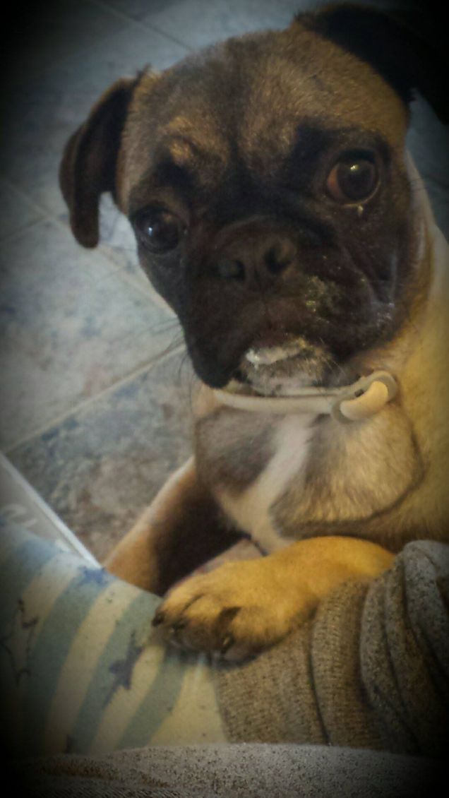 come mi piace lo yogurt