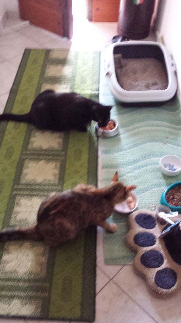 don't touch my gourmet diamond!!!