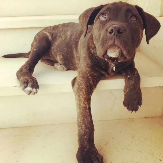 Pronto per il pisolino