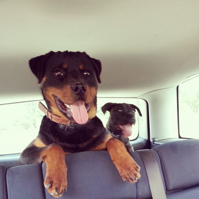 Pronti, partenza, via!