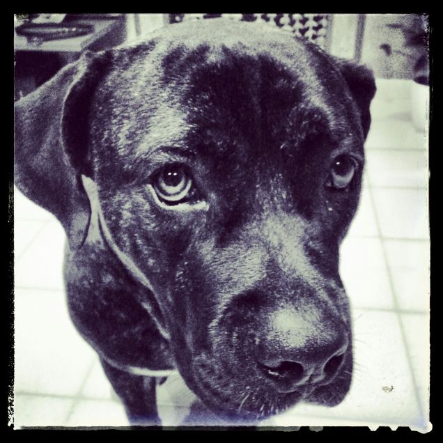 Mi date un pò di pappa?!? Ho fame!