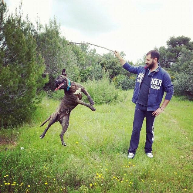 Achille, il cane che vola!