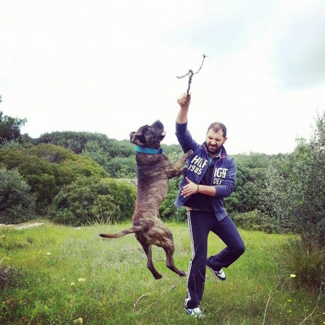 Achille, il cane che vola!