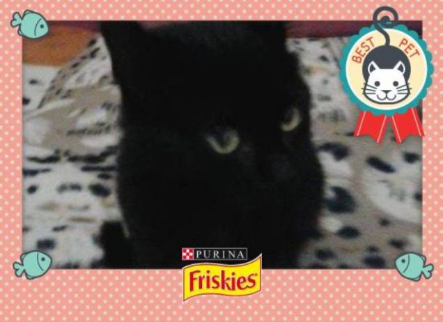 stella post asciugatura!