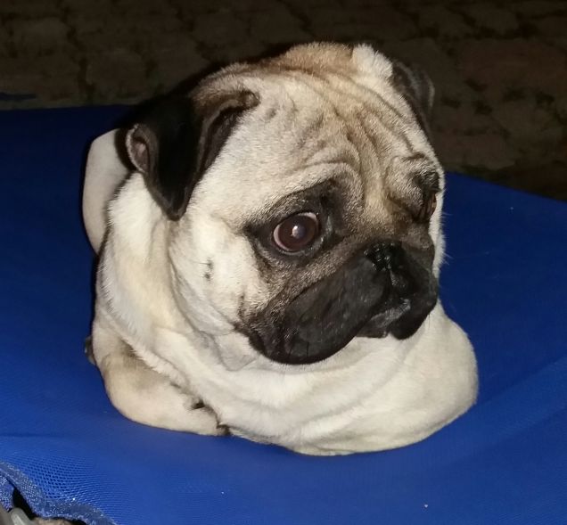 Serata relax in brandina