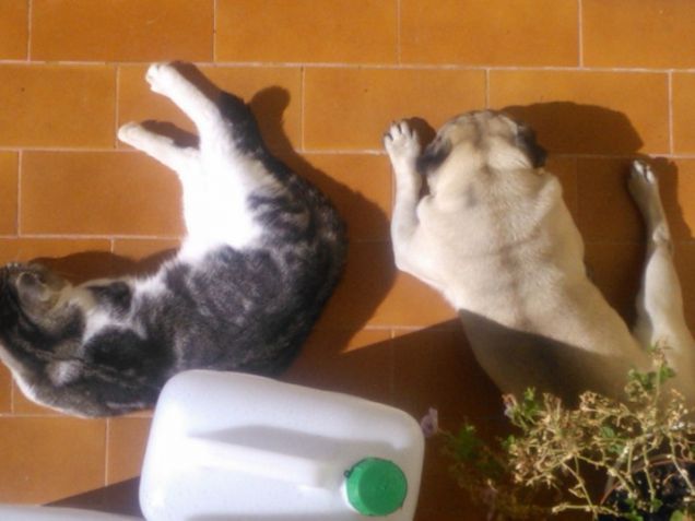 All'avventura...nel mondo dei sogni