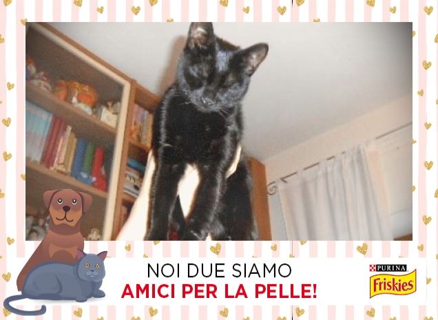 the Princess of the house 