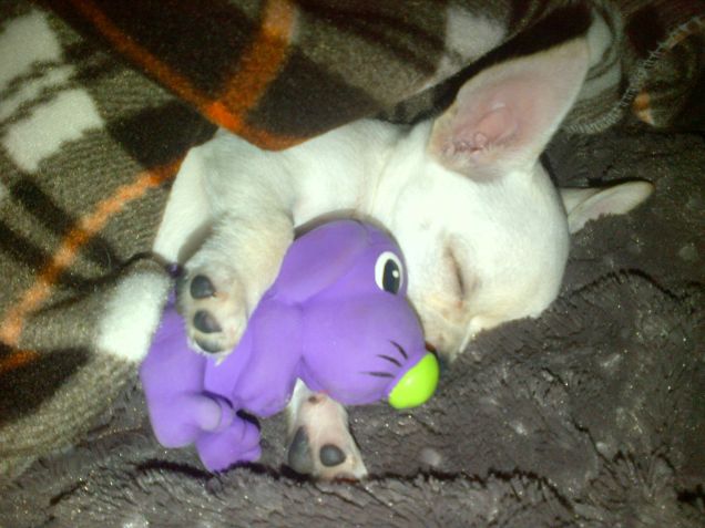 Dopo la passeggiata necessario un riposino. 