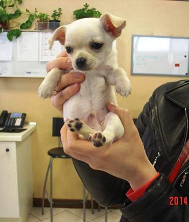 Un mese fa ero cosi piccolo 