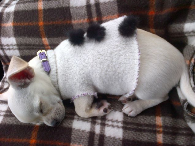 Il riposino pomeridiano fa bene alla salute