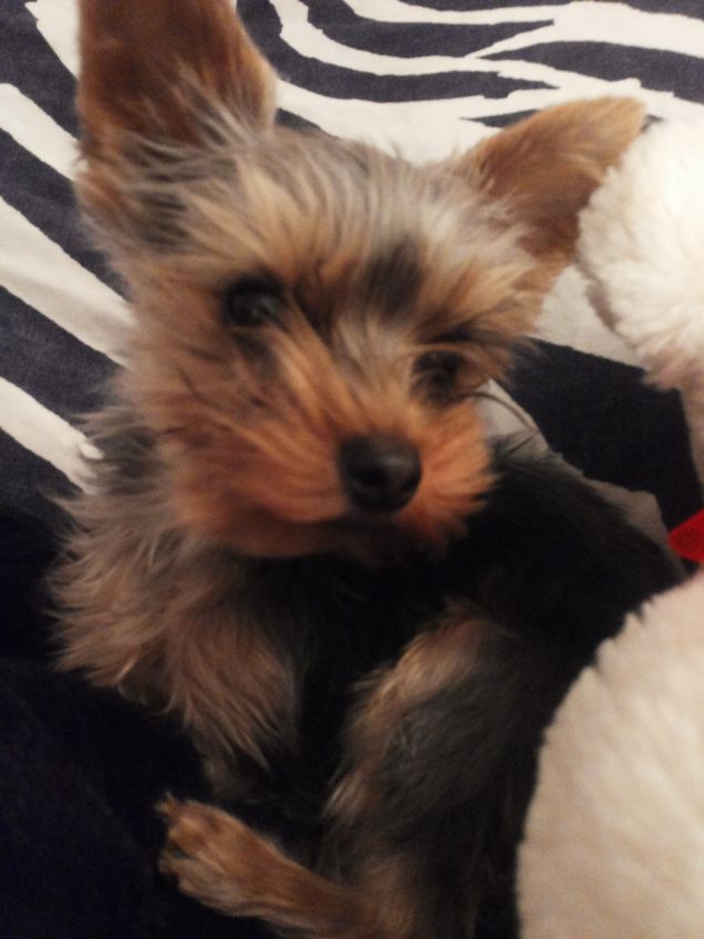 Misa da cucciolissima