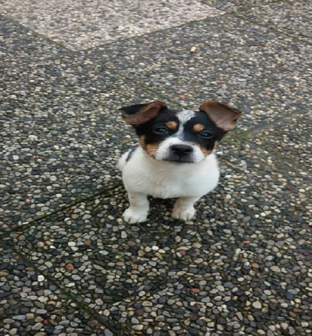 Accecata dal sole  :)