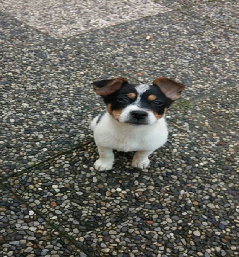 Accecata dal sole  :)