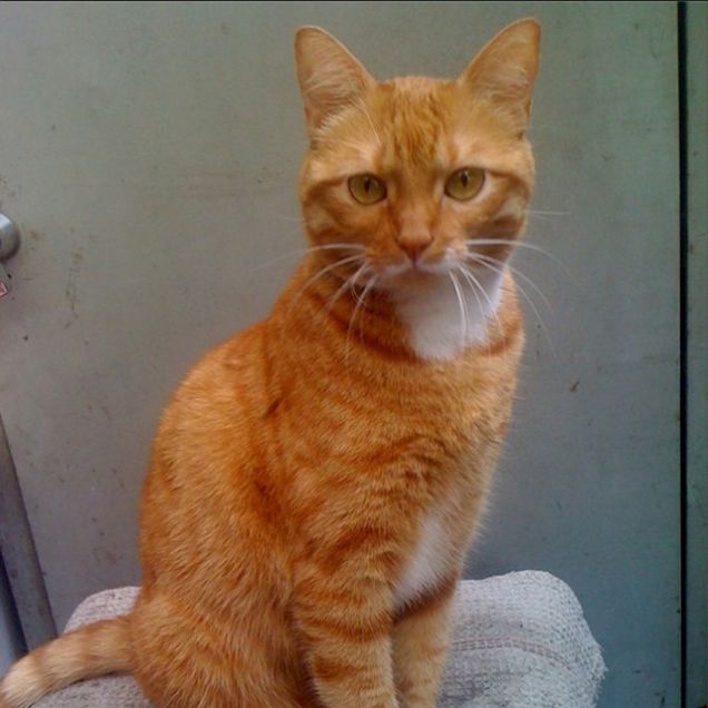 ritratto di famiglia