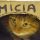 Micia