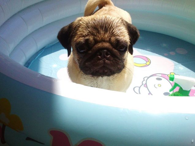 Romeo si fa il bagno!