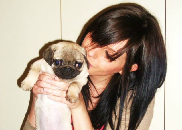 Il mio Romeo cucciolo