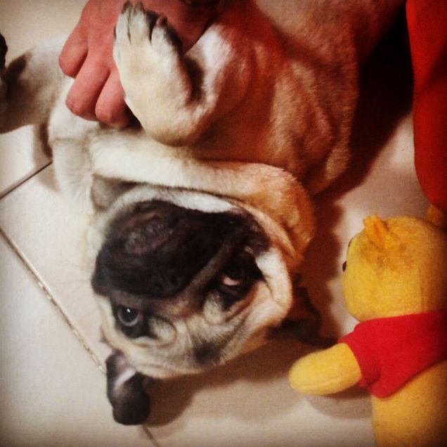 Romeo e l'ora delle coccole! 