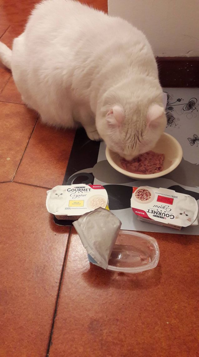 un bel regalino da parte di petpassion