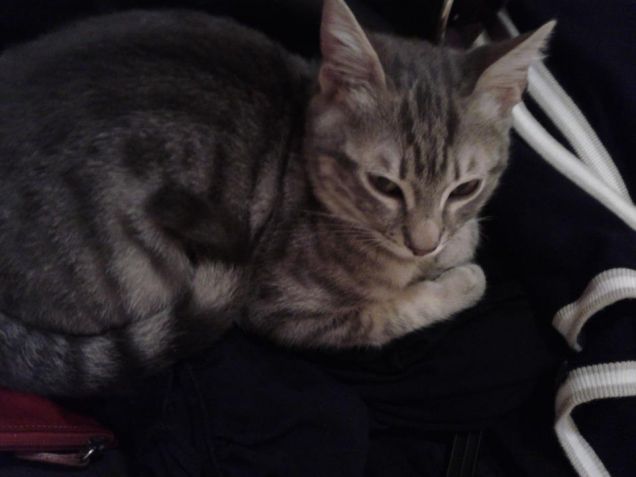 sono un po' incxxxata