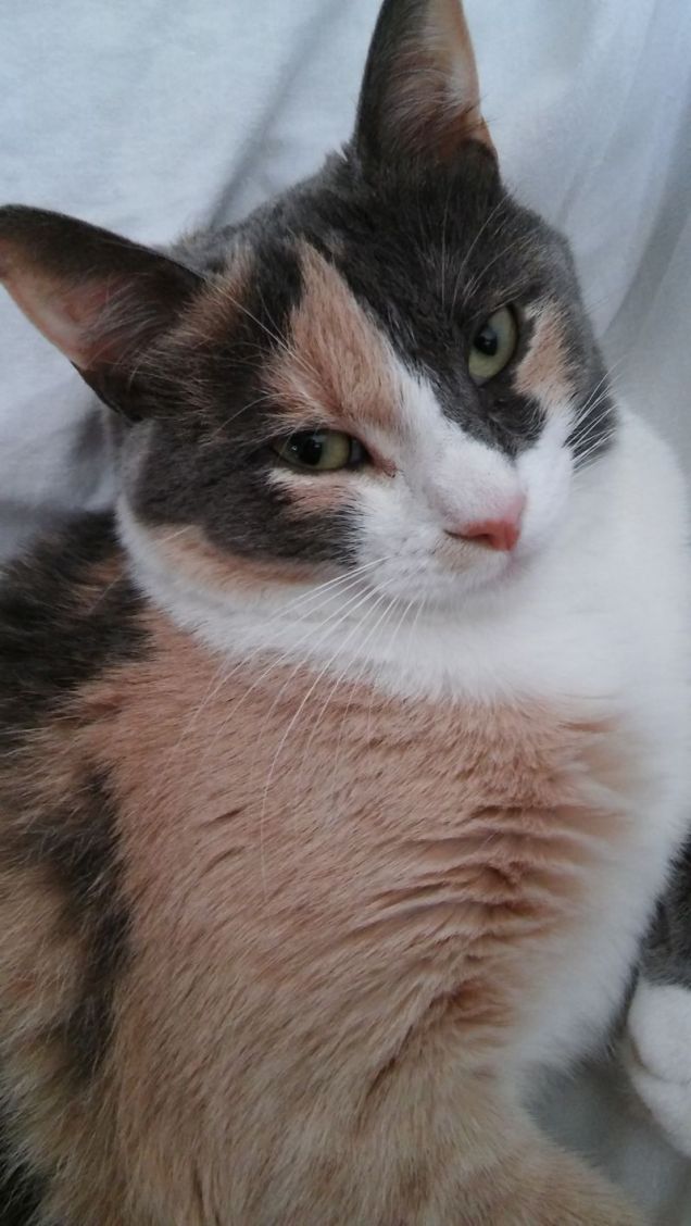 Faccio la famme fatale...va bene così?