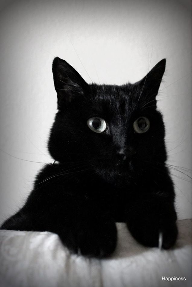 Mi piacciono le foto