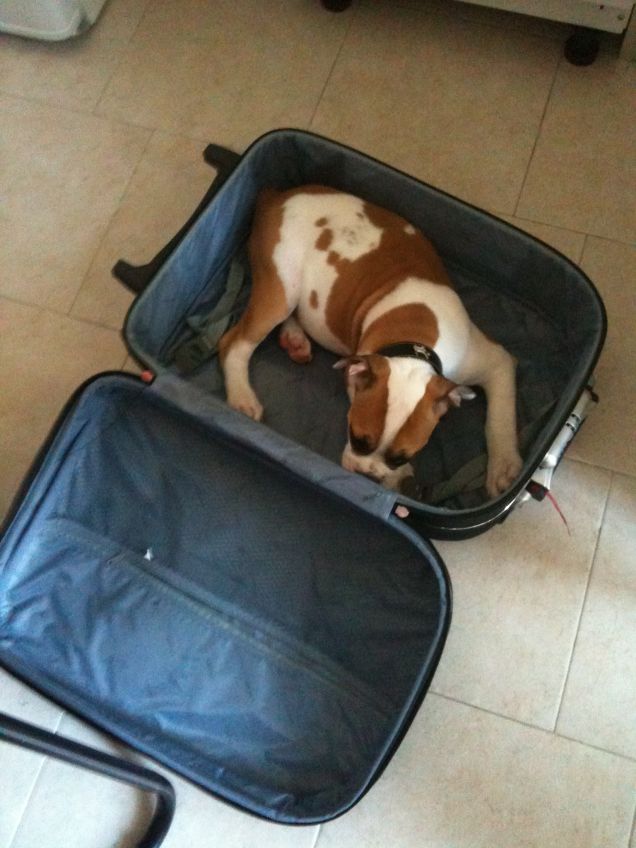 Non vorrai partire senza di me...vero?