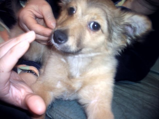 giornata fredda ma fortunata