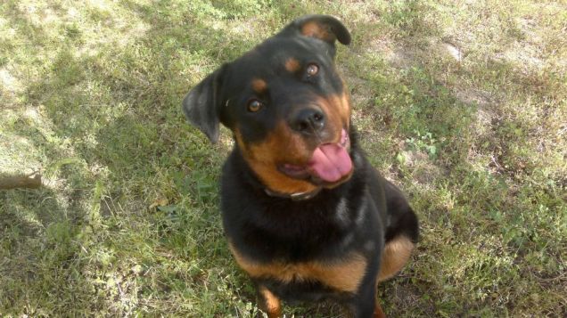 ehiii... perchè mi guardi cosi!!!