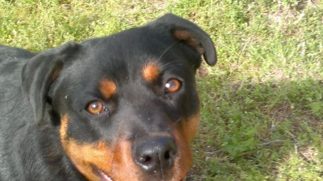 ehi!!! non mangiare da sola... danne anche a me!