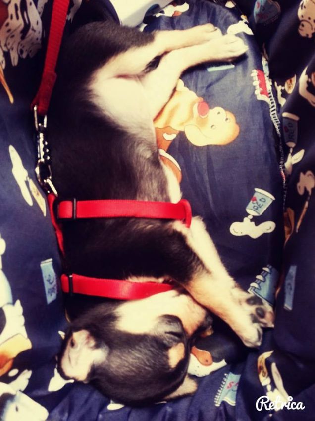 la mia principessa a nanna 