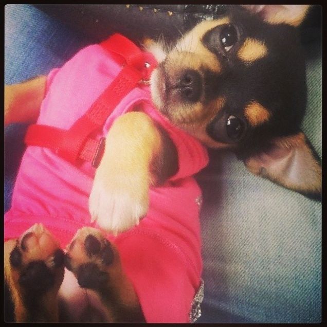 tanto amore racchiuso in un essere minuscolo