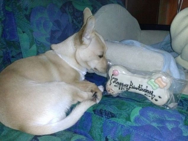 un mesetto fa ho compiuto 3 anni 