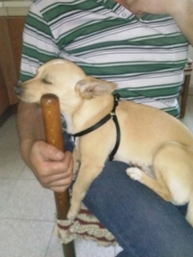 he he sono anche un po strano 