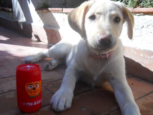 In giardino con i giocattoli