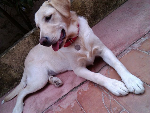 Sempre in giardino un mese fa