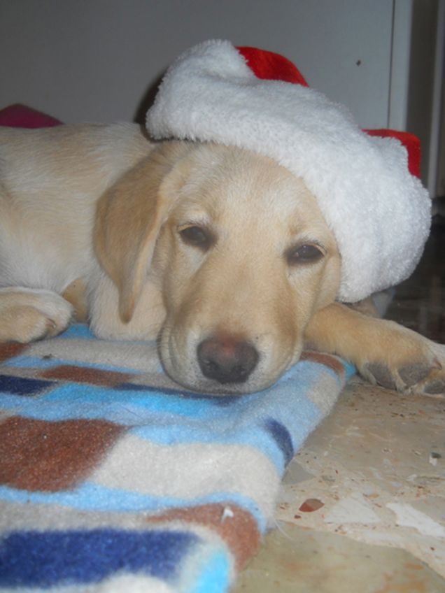 Il Natale più bello!