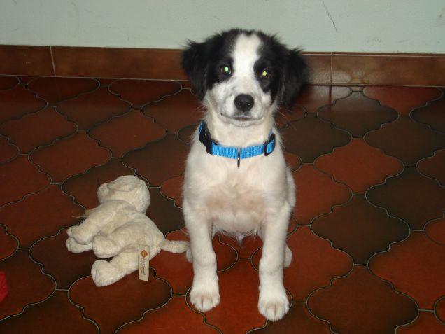 Con il primo peluche: Falanghina!